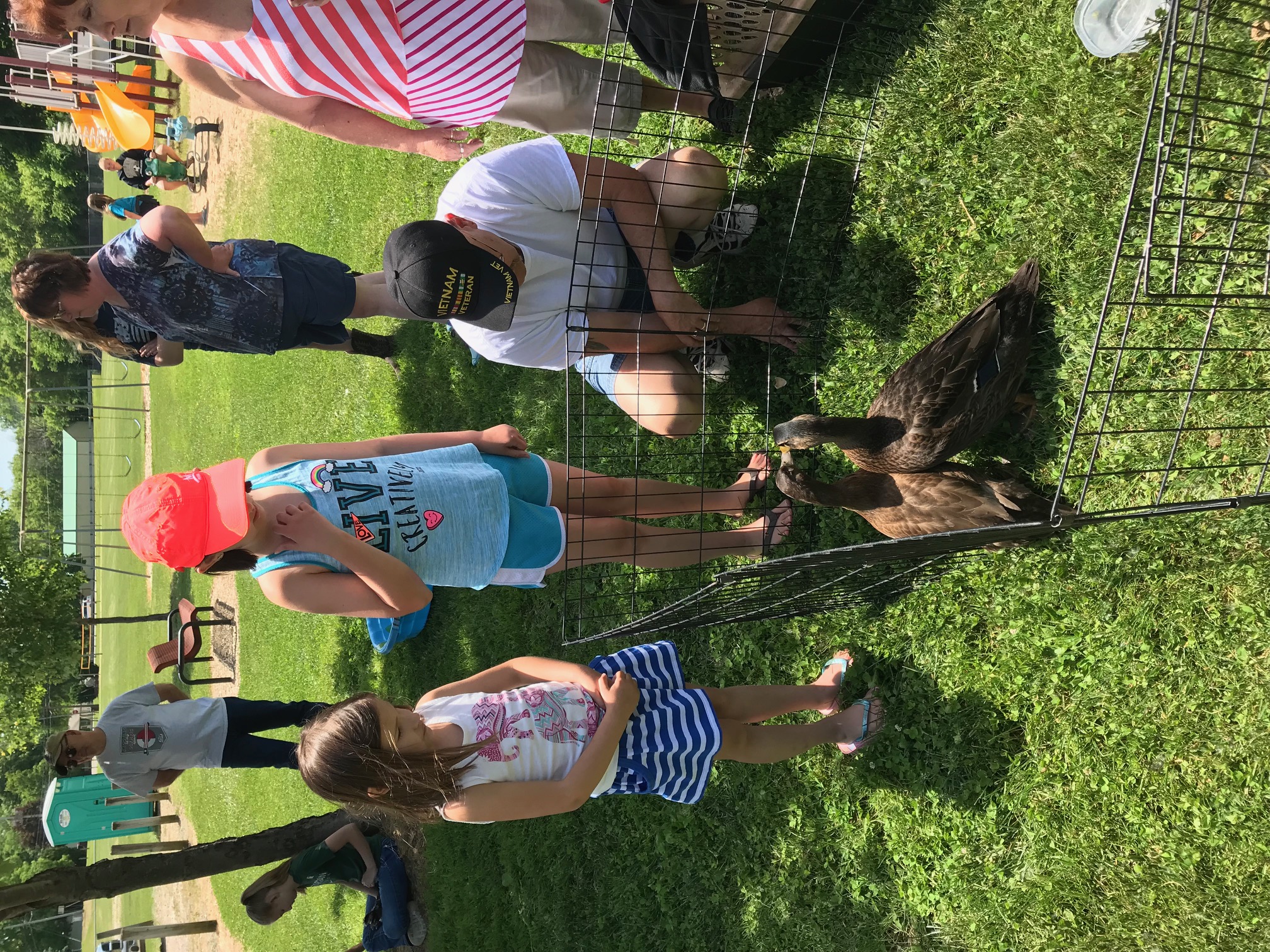 Durand FFA Petting Zoo