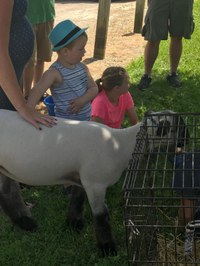 Durand FFA Petting Zoo