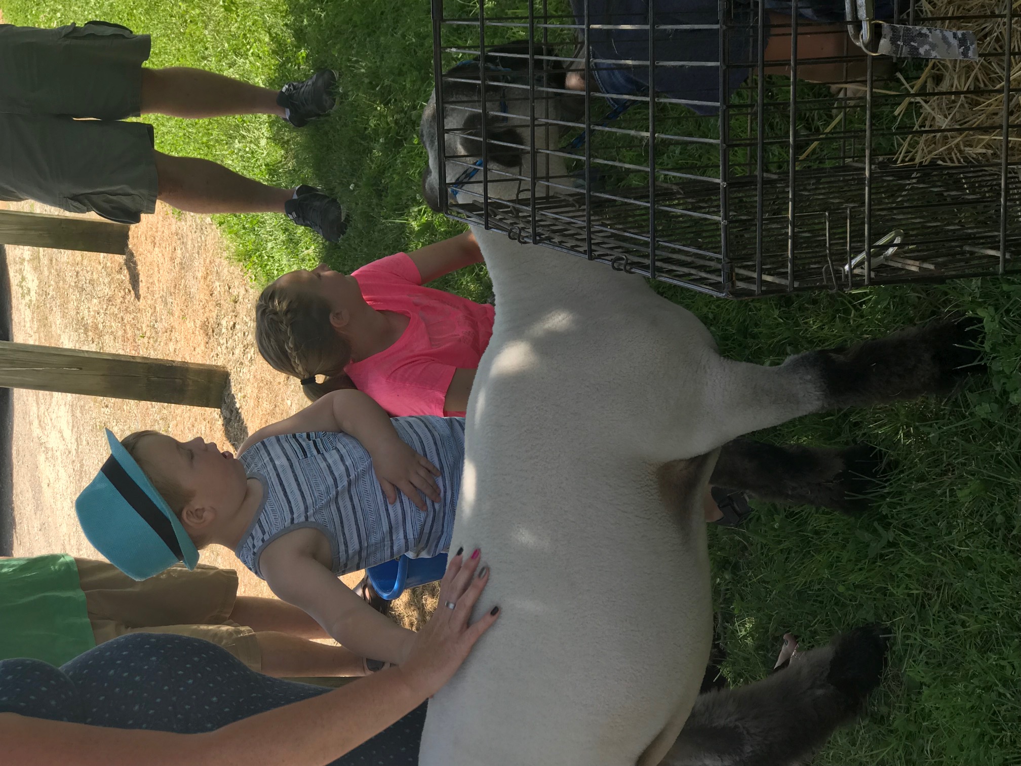 Durand FFA Petting Zoo