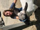 Durand FFA Petting Zoo