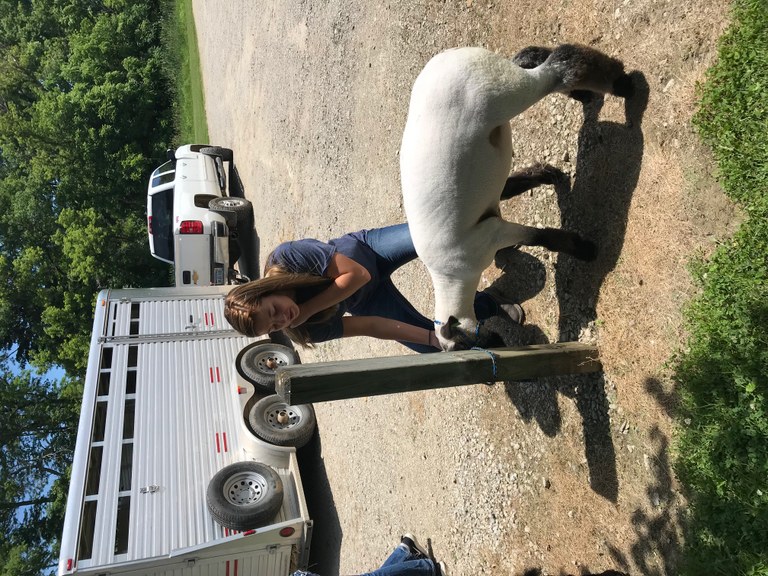 Durand FFA Petting Zoo