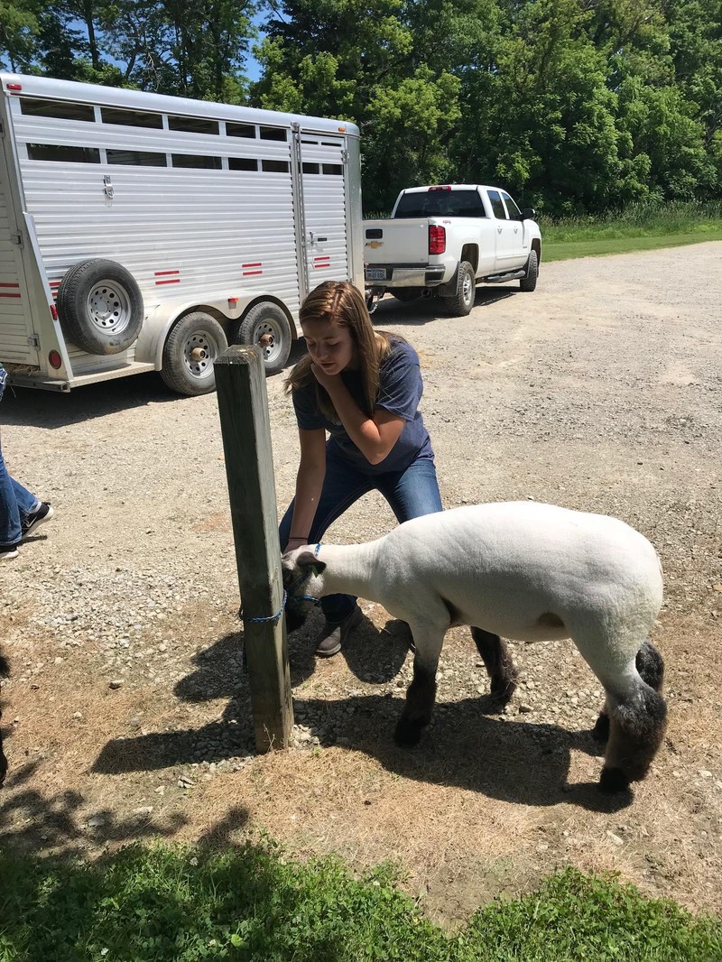 Durand FFA Petting Zoo