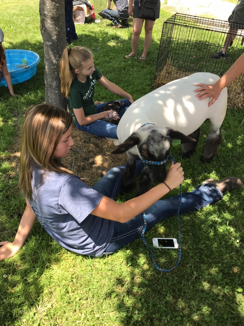 Durand FFA Petting Zoo