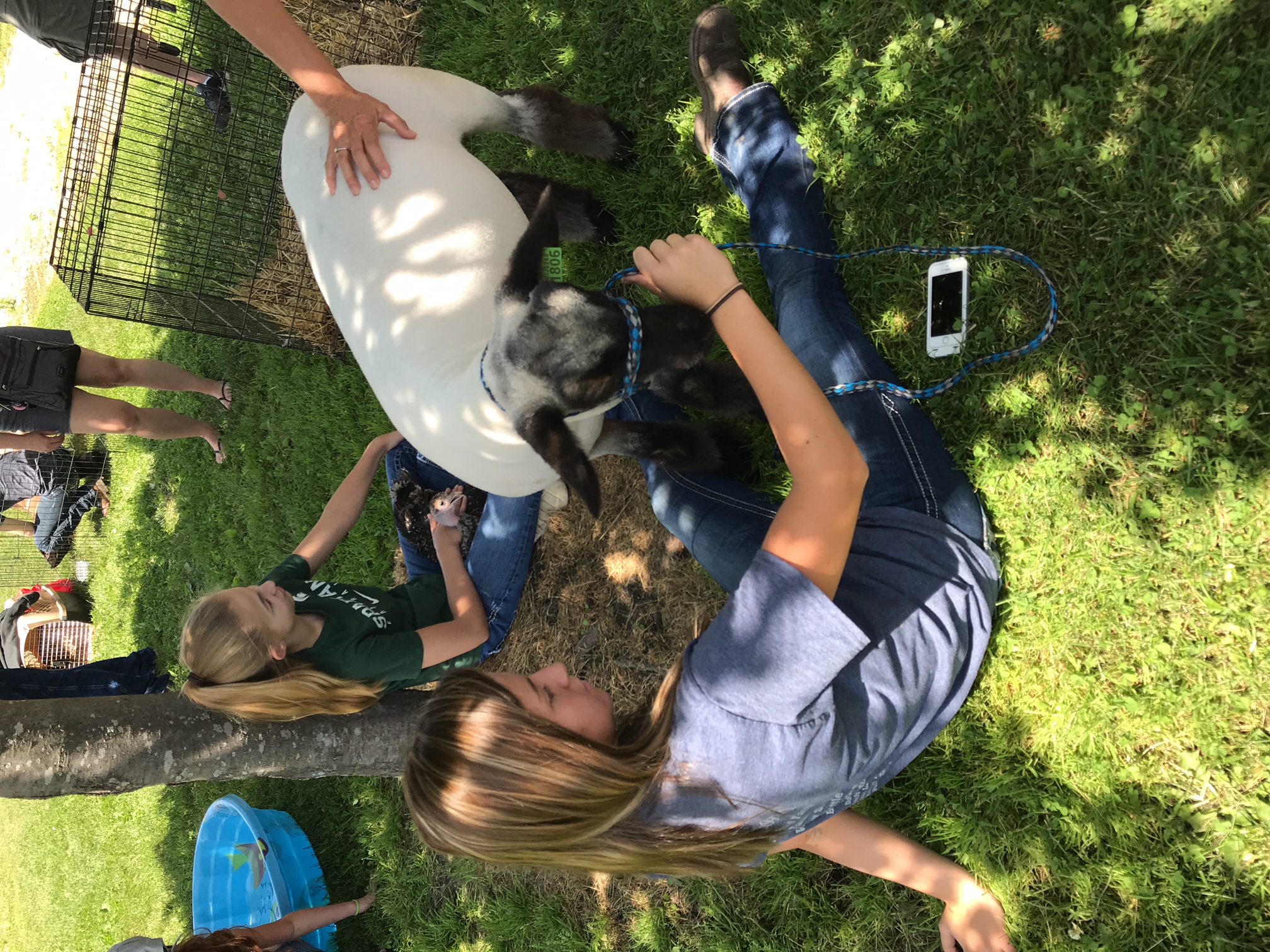 Durand FFA Petting Zoo