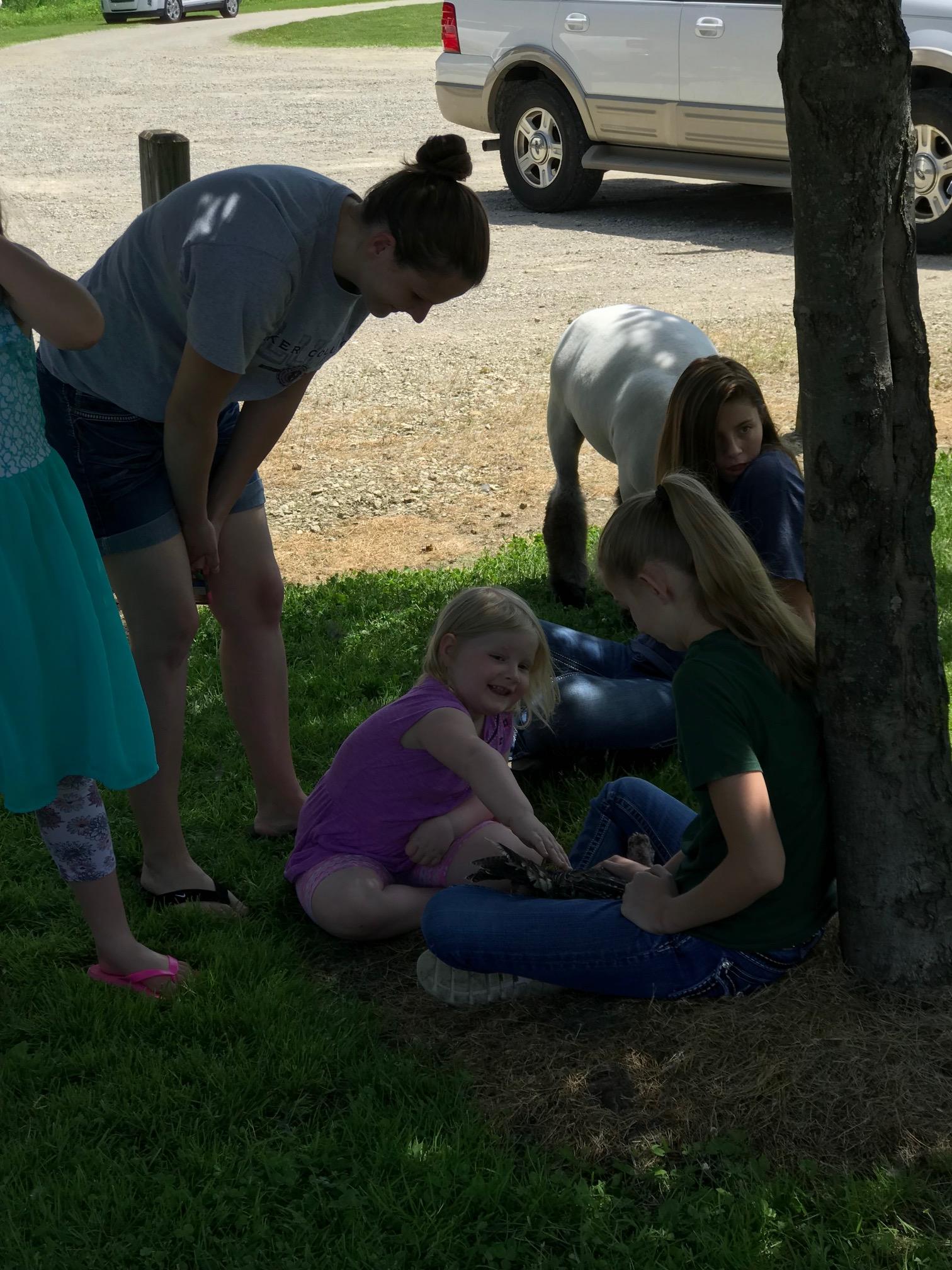 Durand FFA Petting Zoo