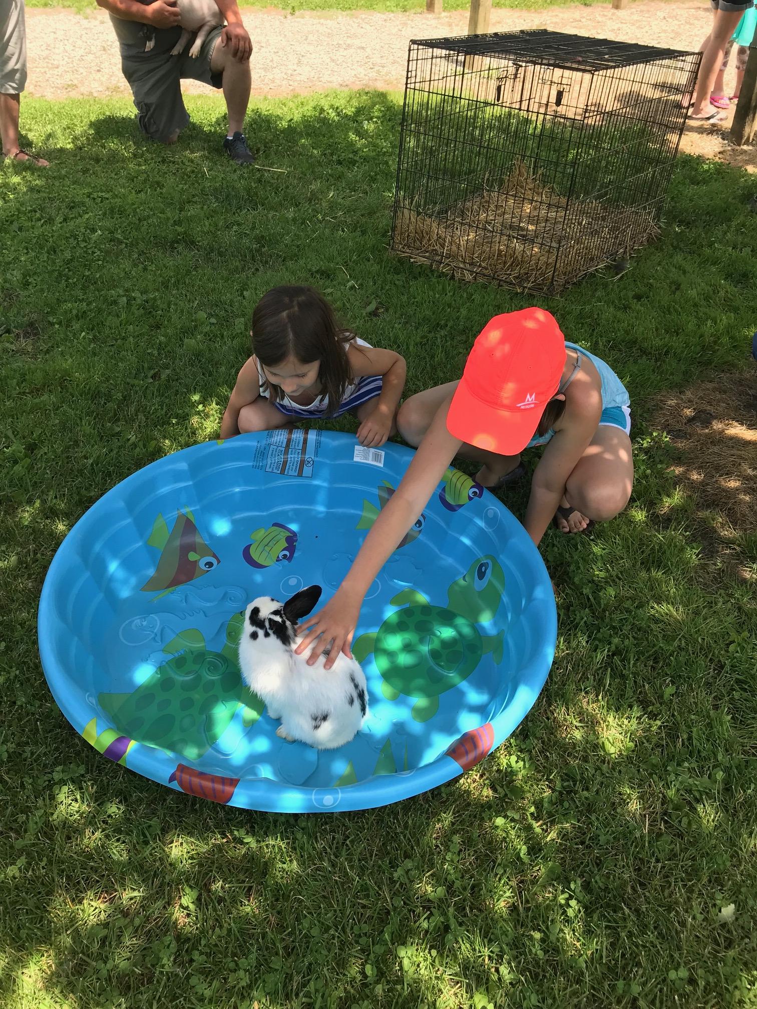 Durand FFA Petting Zoo