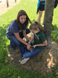 Durand FFA Petting Zoo