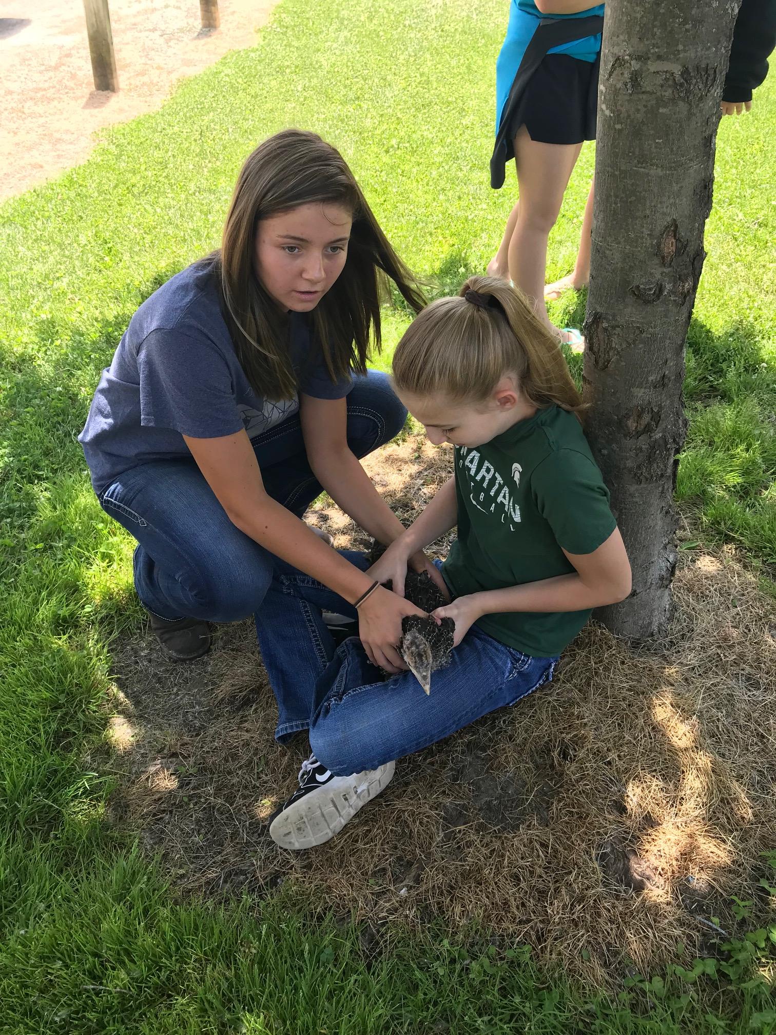 Durand FFA Petting Zoo