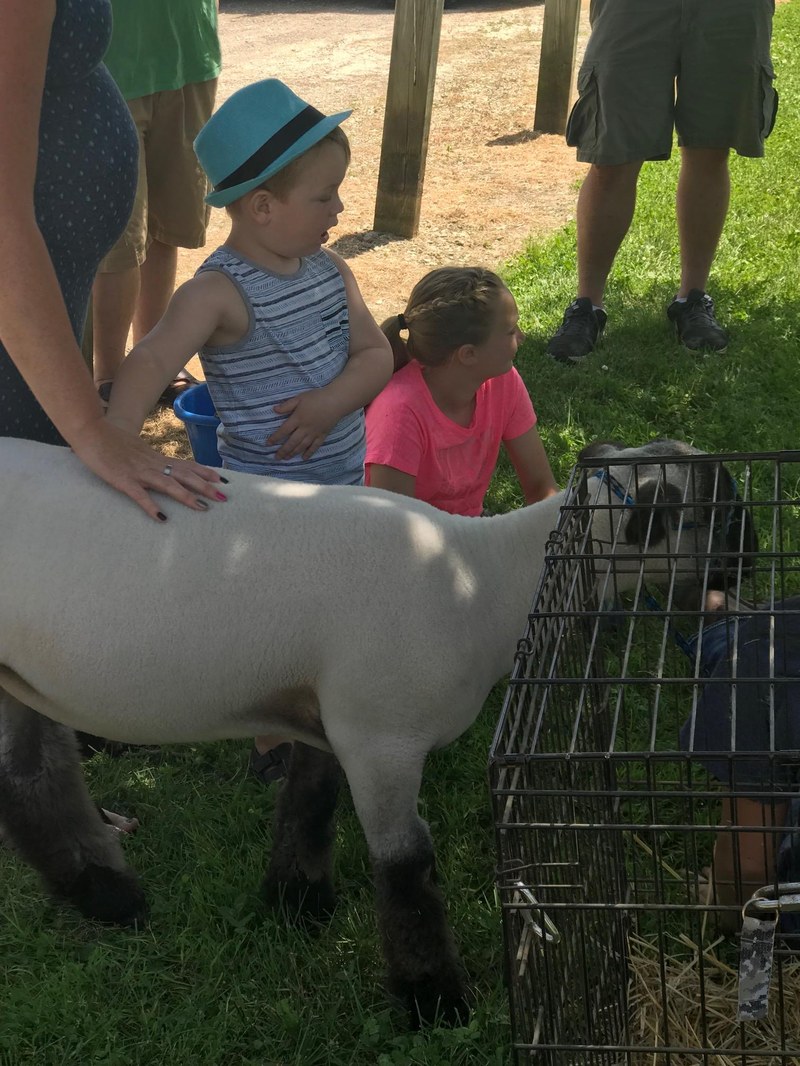 Durand FFA Petting Zoo