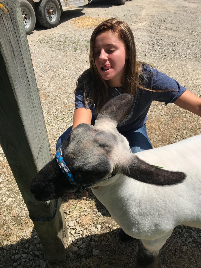 Durand FFA Petting Zoo