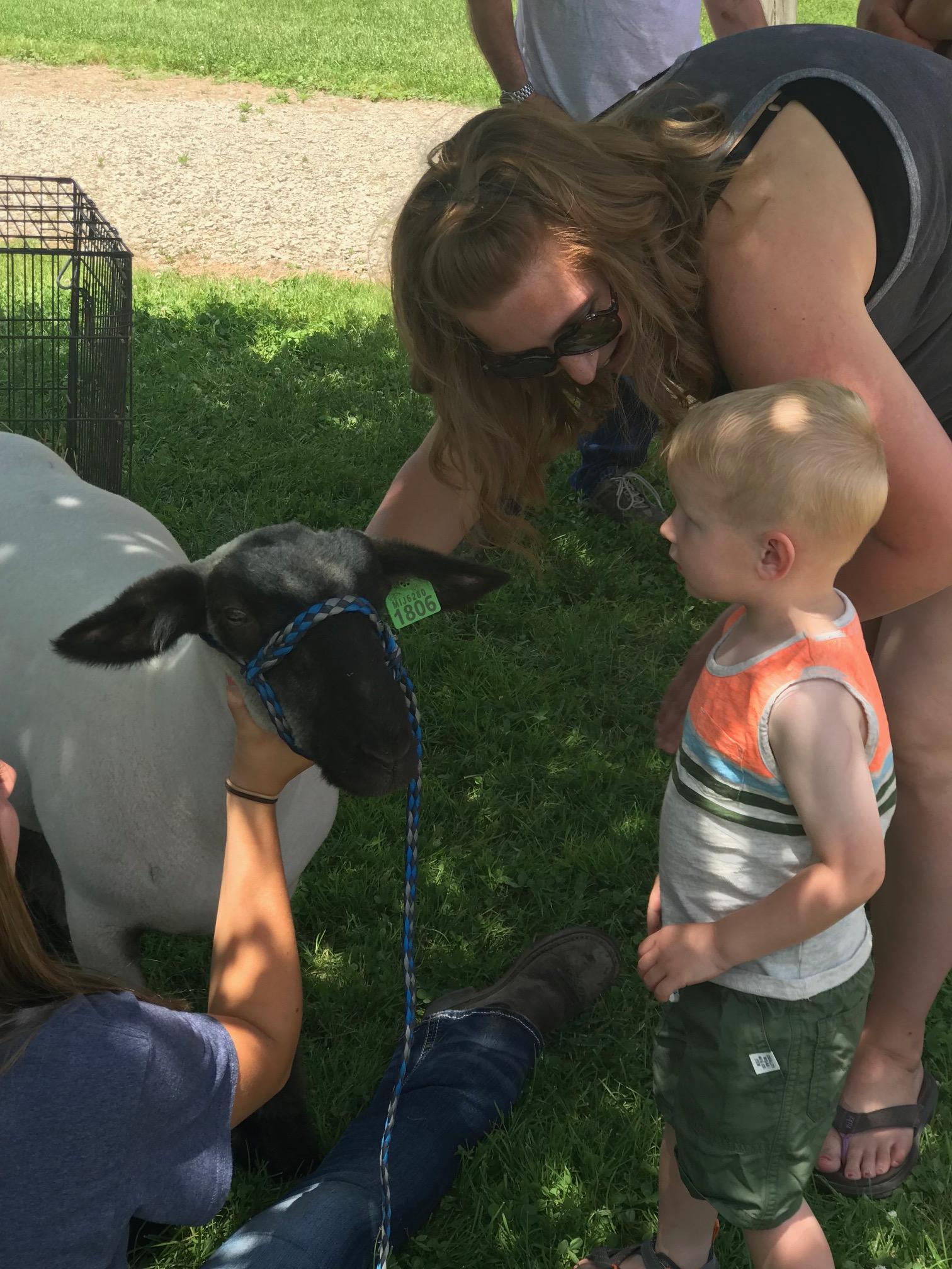 Durand FFA Petting Zoo